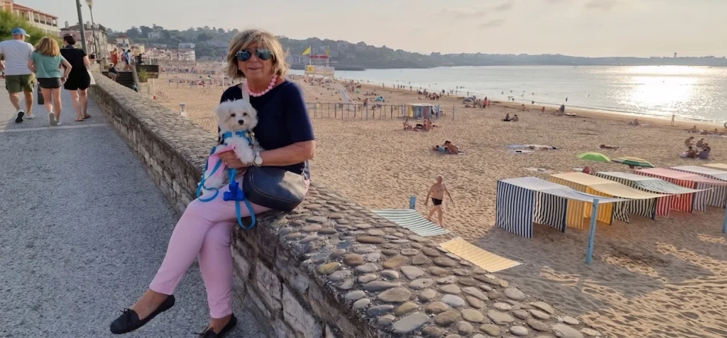 Viajar con mascotas durante las vacaciones en un destino de playa