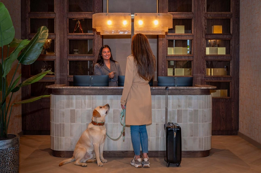 Hotel pet friendly recibiendo a una viajera con su mascota